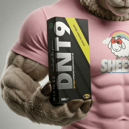 High Performance DNT-9 - Super Lemon Haze - 1ml